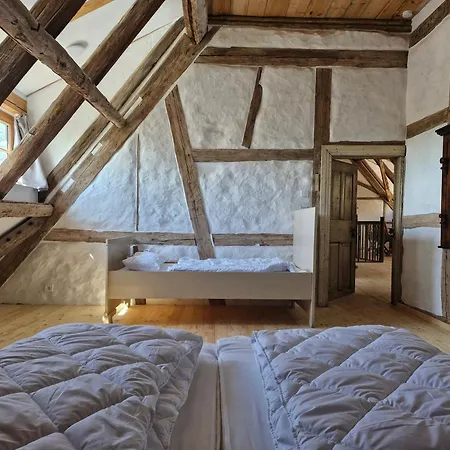 Urlaub Auf Dem Rittergut Friedeburg - Mit Direkter Naehe Zur Saale アパート Gerbstedt