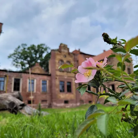アパート Urlaub Auf Dem Rittergut Friedeburg - Mit Direkter Naehe Zur Saale *