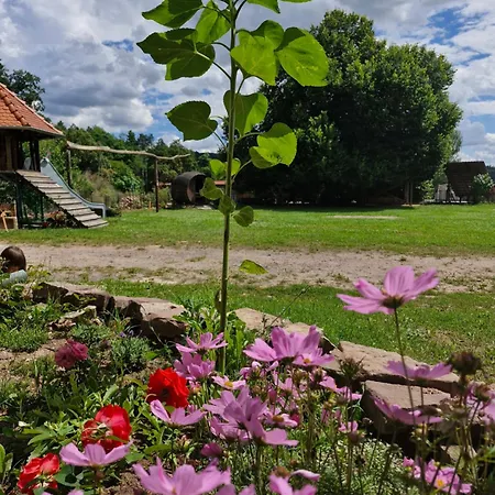 Urlaub Auf Dem Rittergut Friedeburg - Mit Direkter Naehe Zur Saale شقة Gerbstedt