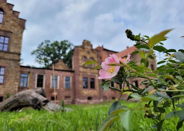 Apartment Urlaub Auf Dem Rittergut Friedeburg - Mit Direkter Naehe Zur Saale *